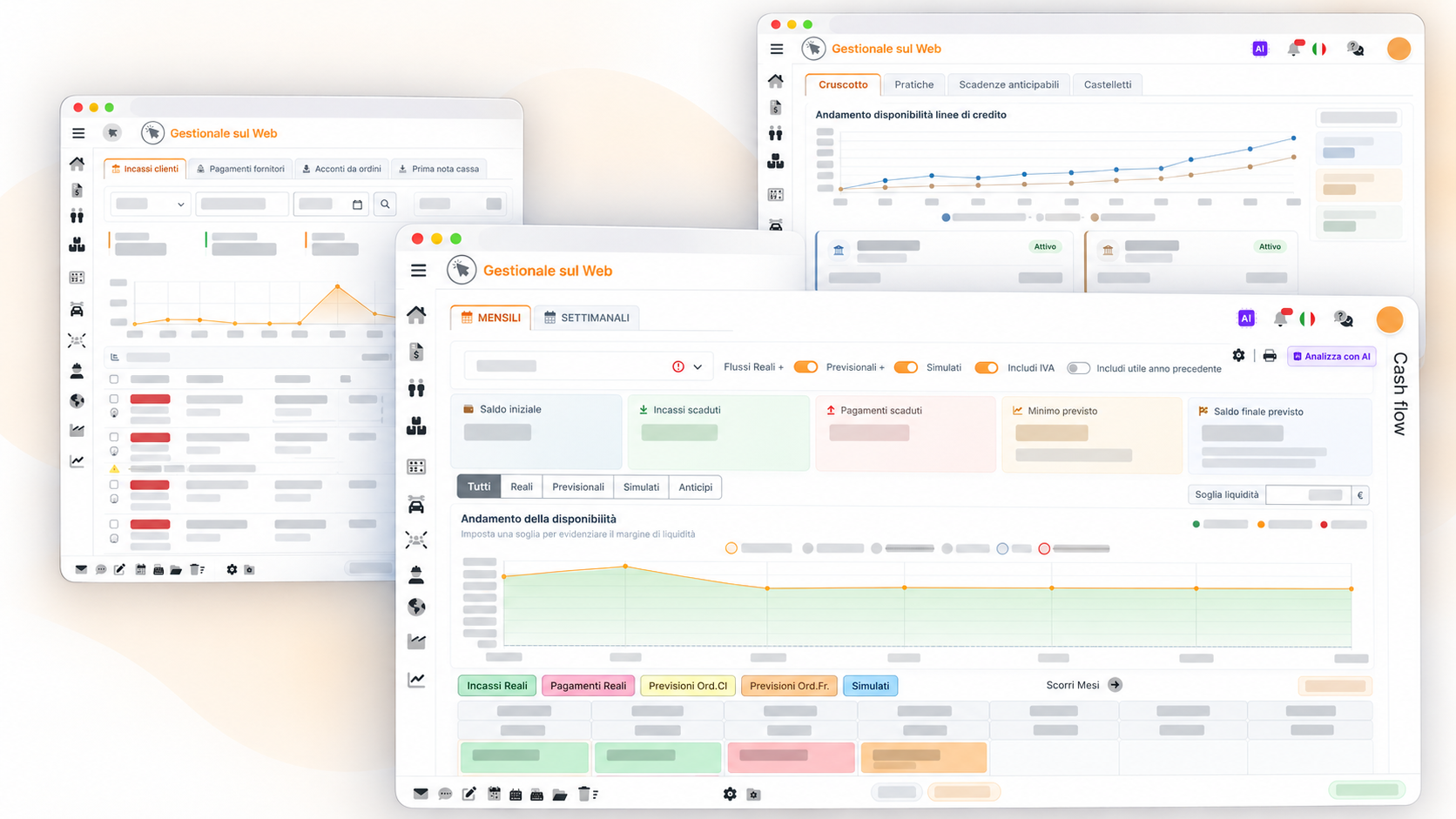 Schermate illustrative del cash flow, degli anticipi bancari e degli incassi clienti di Gestionale sul Web, con dati anonimizzati